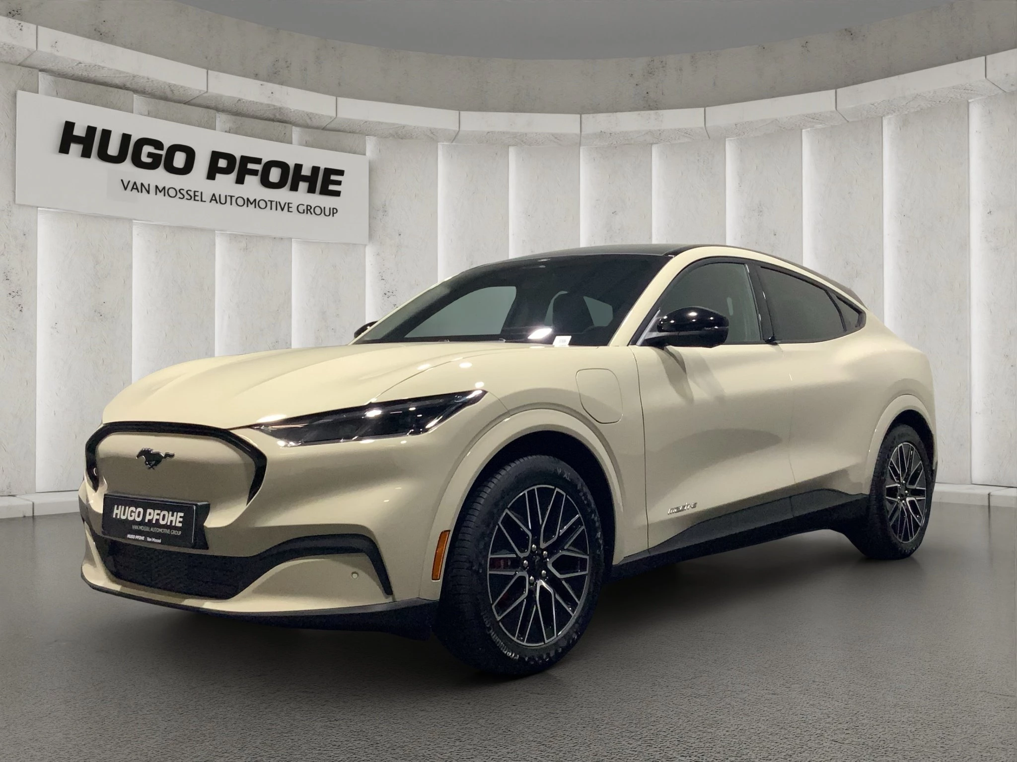 Ford-Mustang Mach-E-image-0