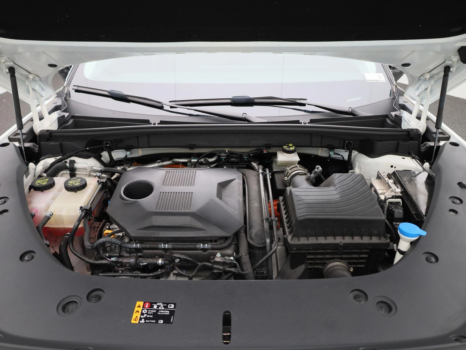 MG-HS-image-38