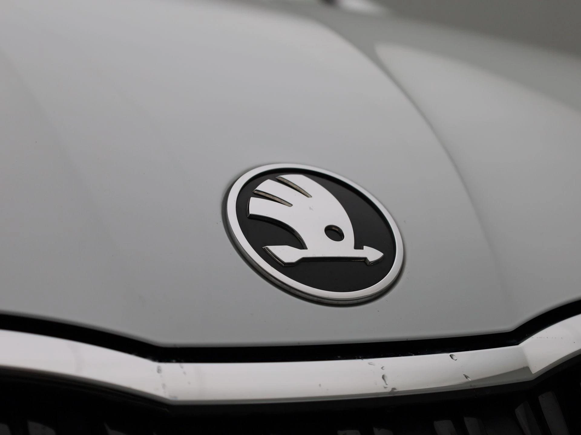 Škoda-Octavia-image-36