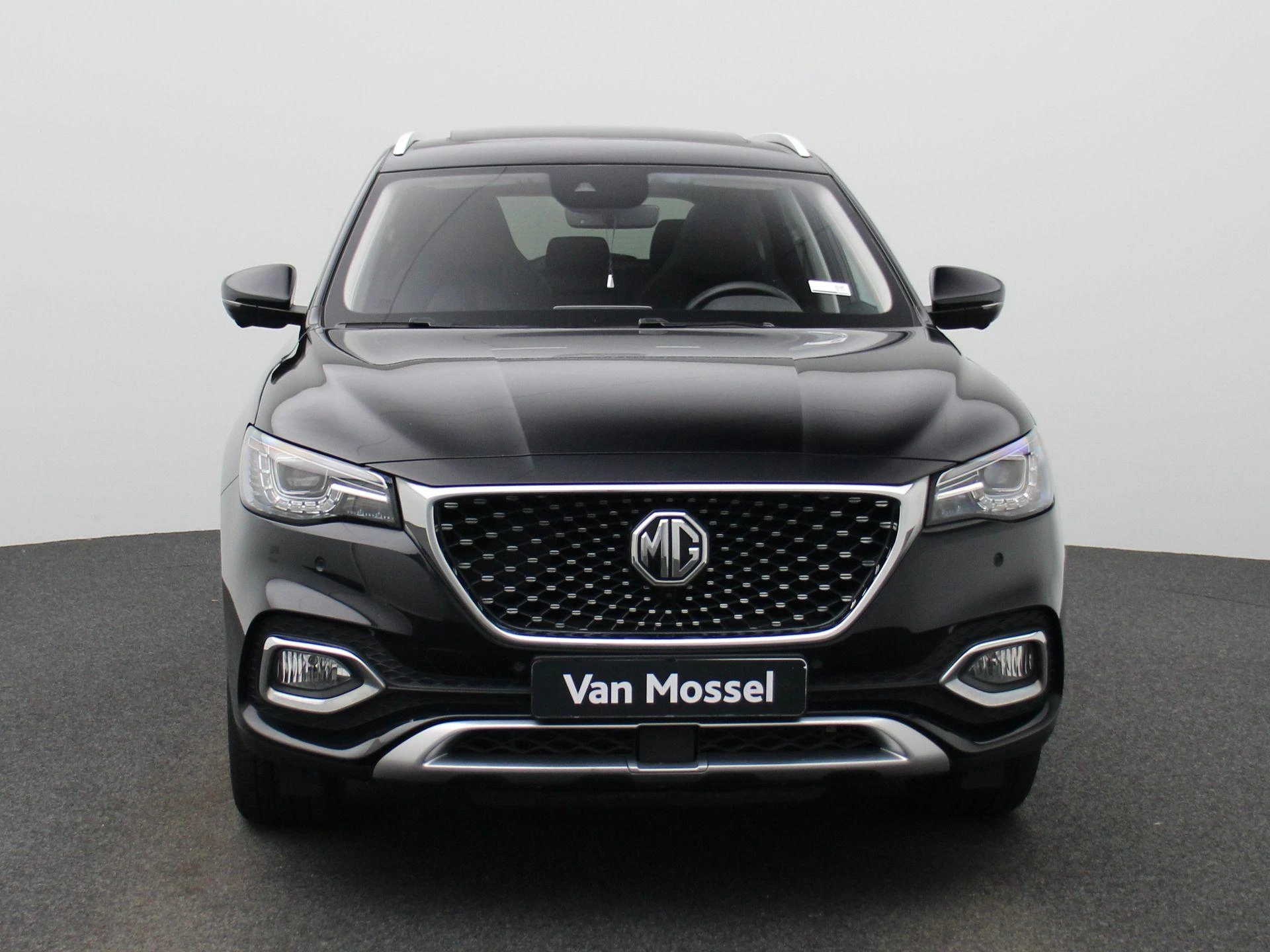 MG-EHS-image-2