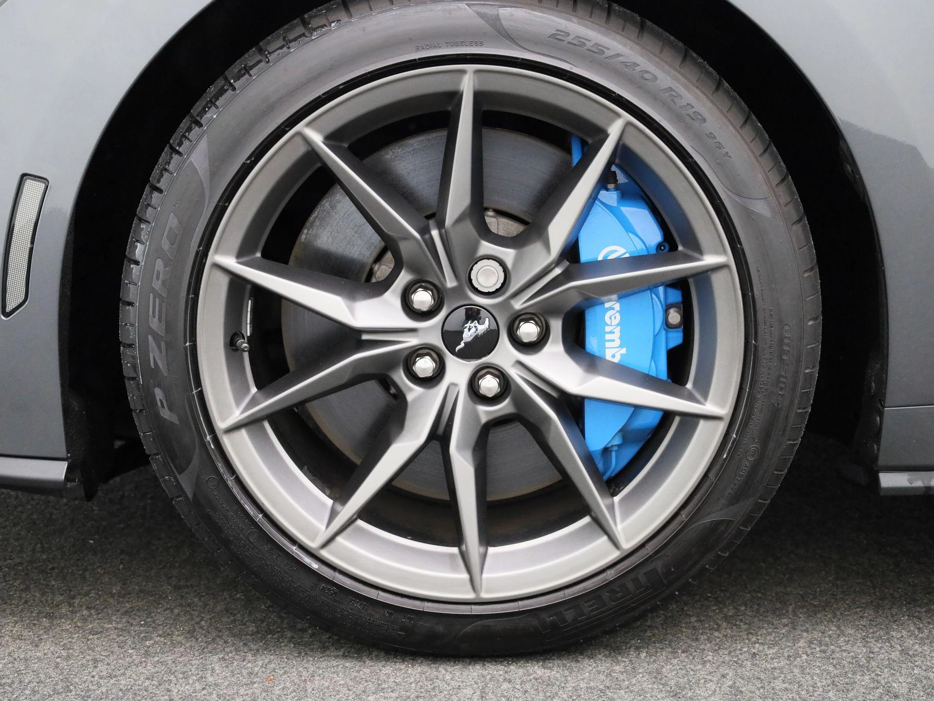 Ford Mustang 5.0i V8 Aut. Dark Horse