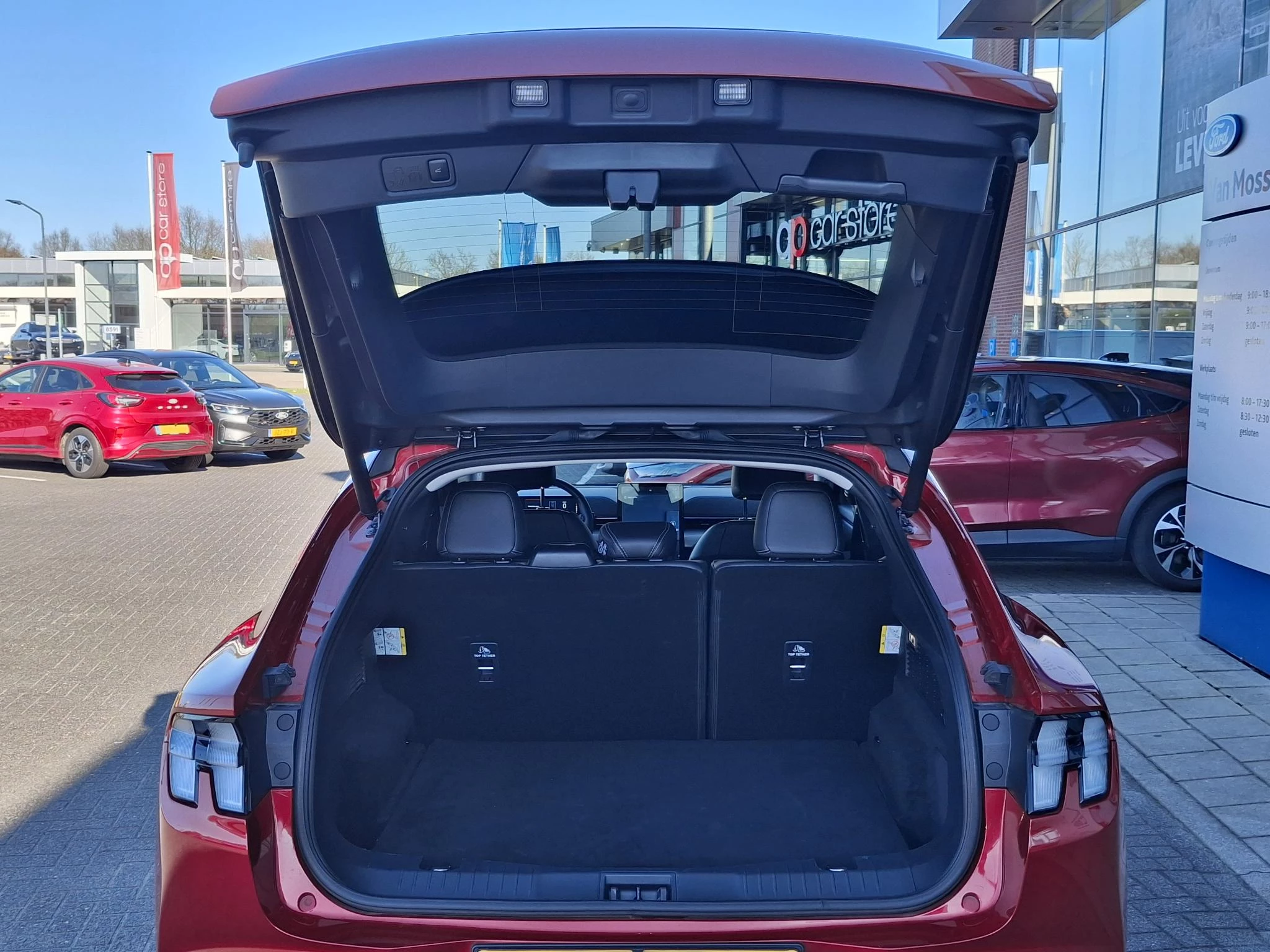 Ford-Mustang Mach-E-image-8