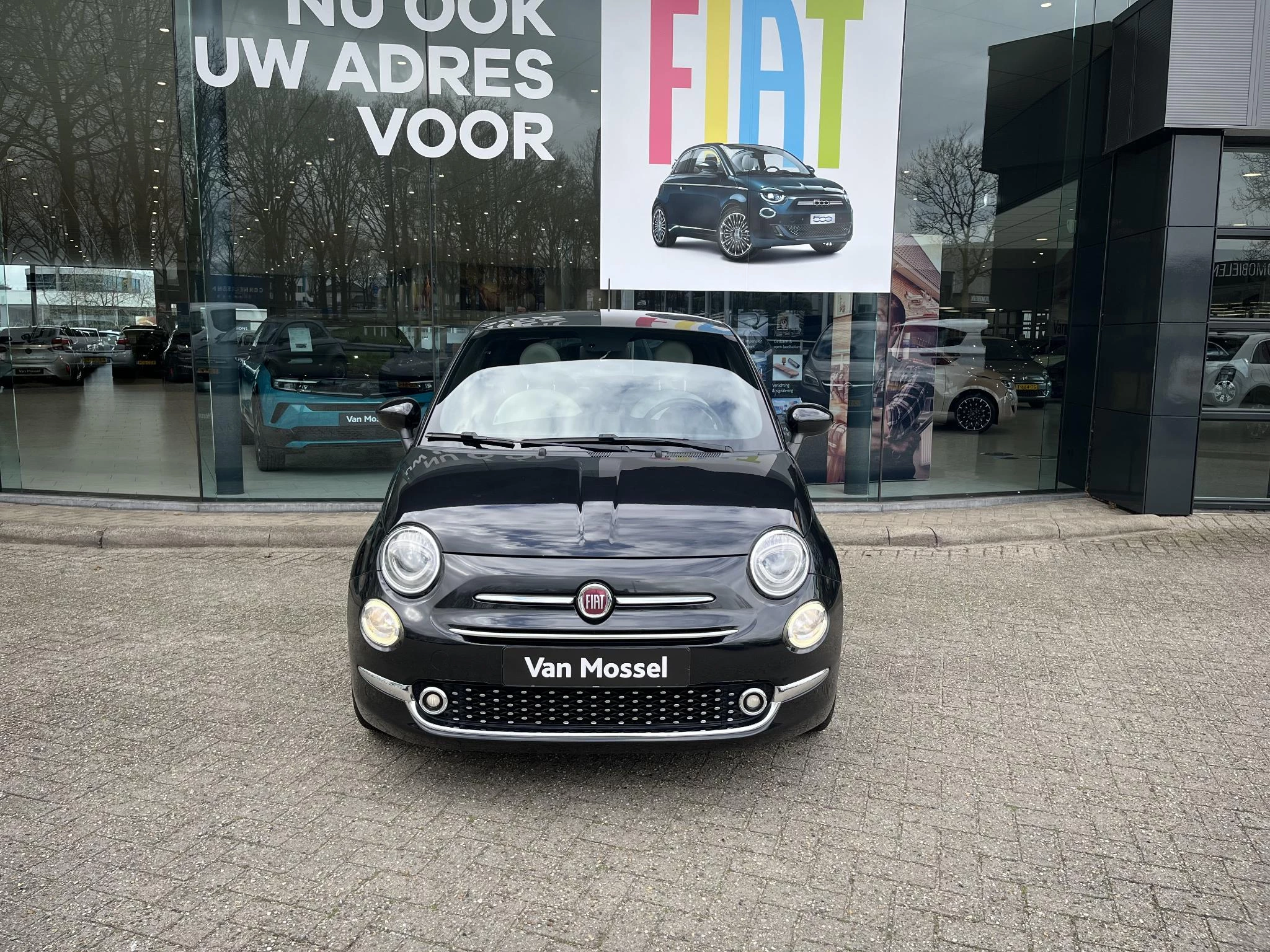 Fiat-500-image-7