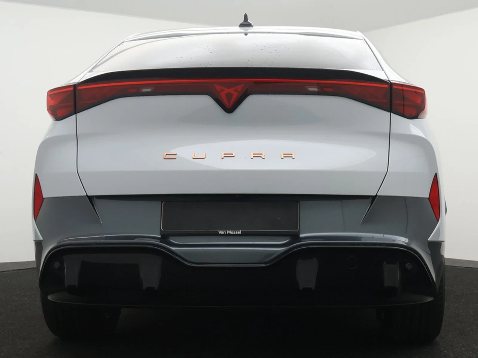 CUPRA Tavascan Tavascan Endurance Corporate 286pk DEMO
