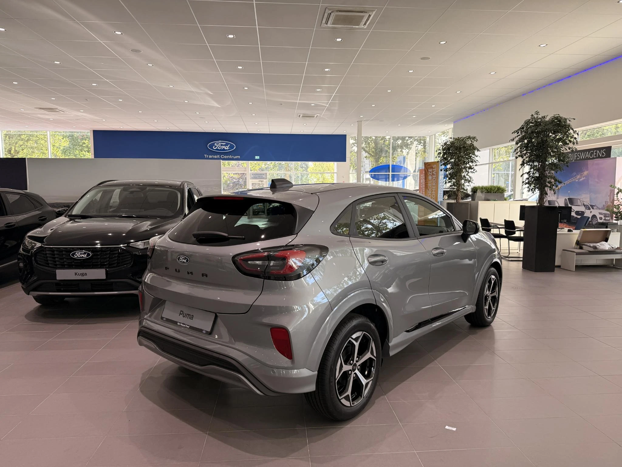 Ford-Puma-image-2