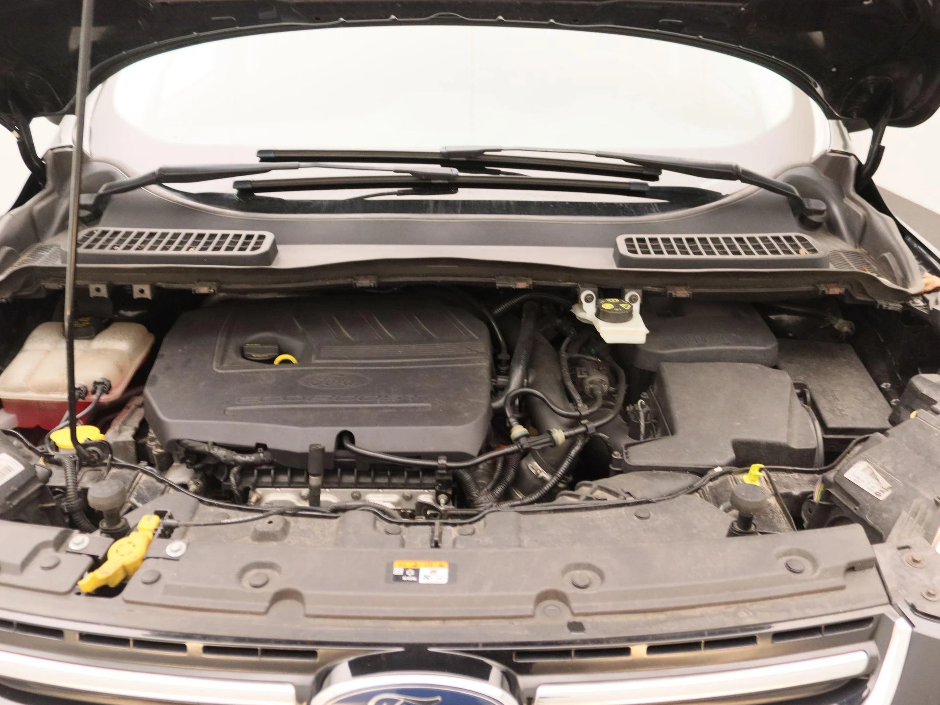 Ford Kuga 1.5 Titanium 4WD