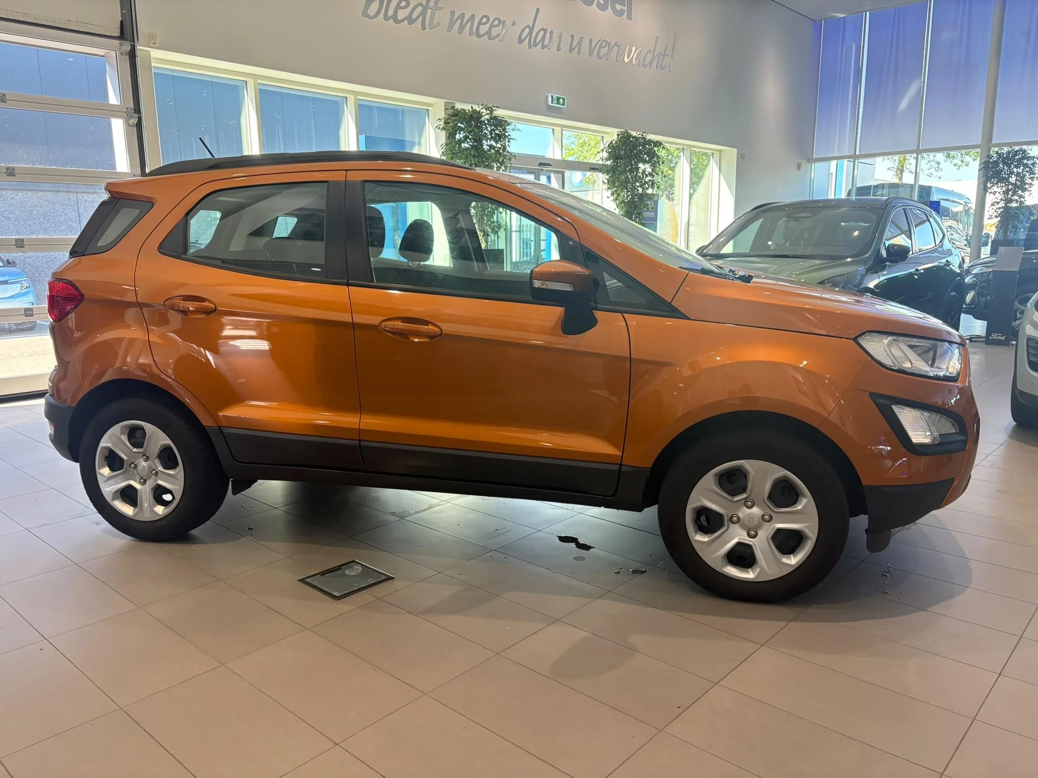 Ford-EcoSport-image-3