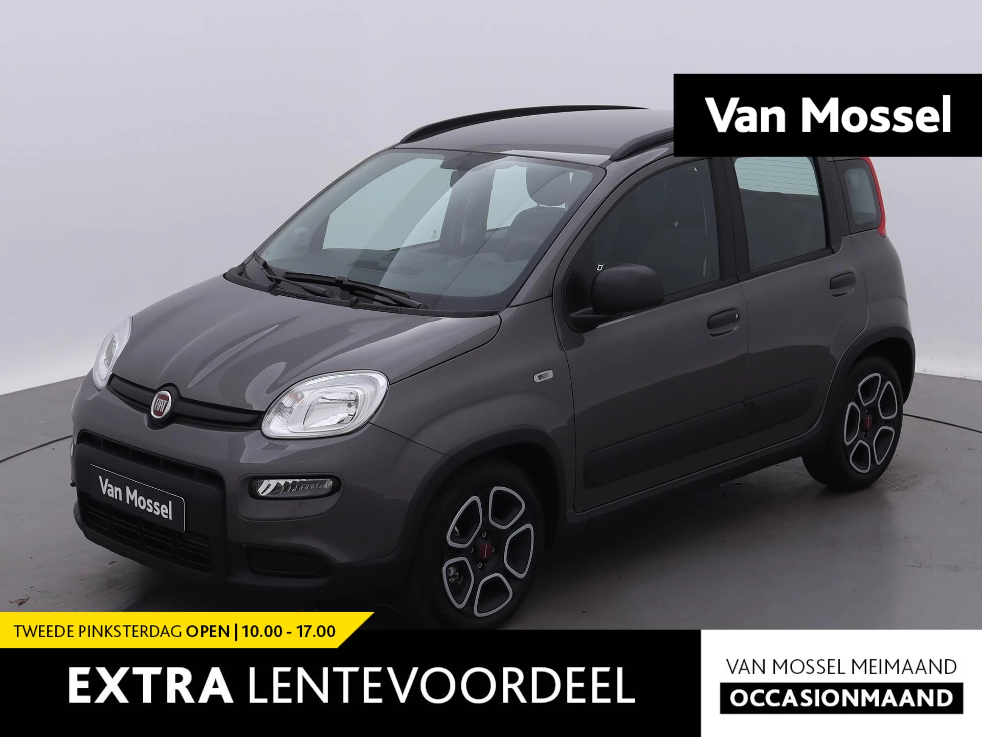 Fiat-Panda-image-0