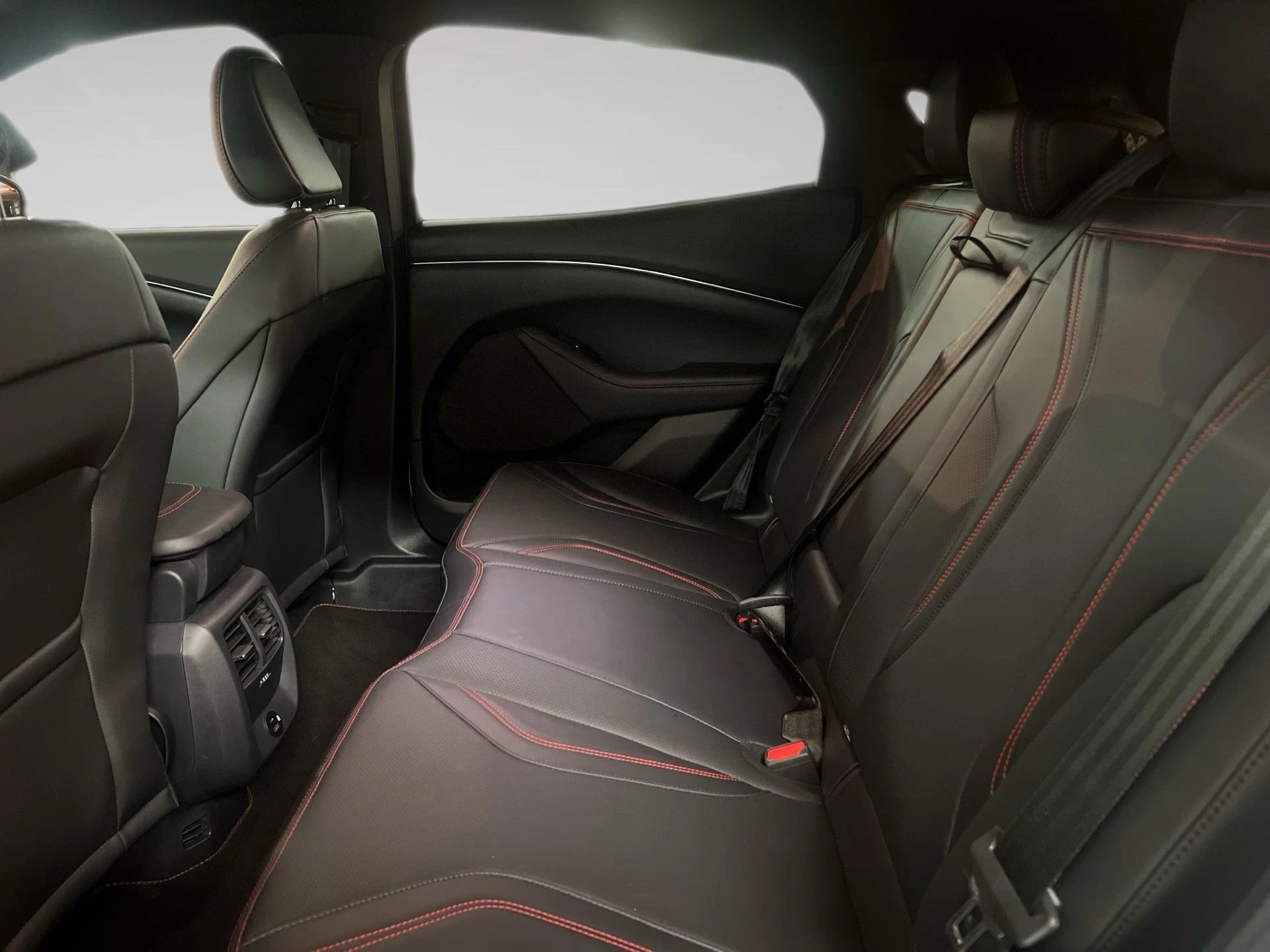 Ford-Mustang Mach-E-image-10