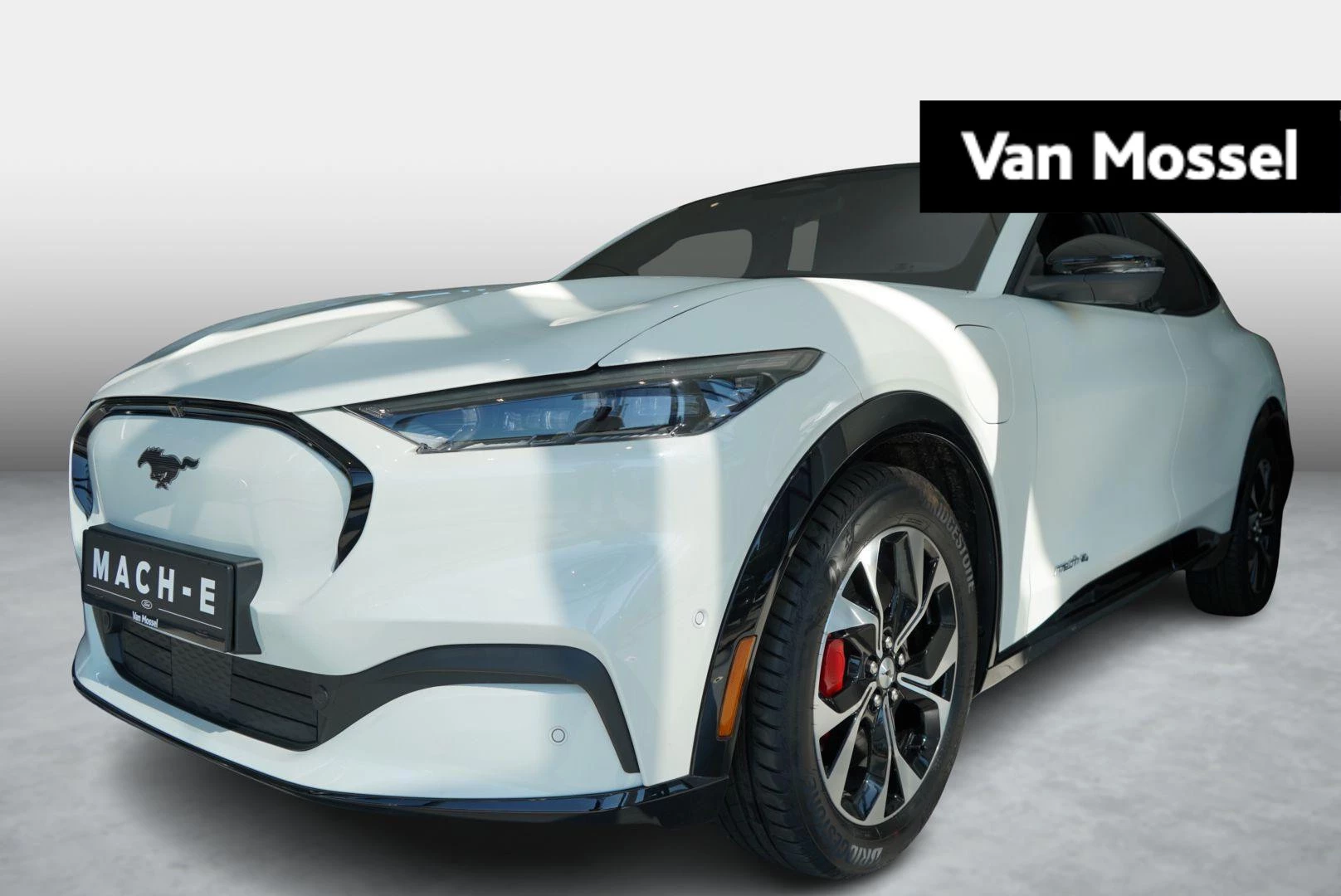 Ford-Mustang Mach-E-image-0