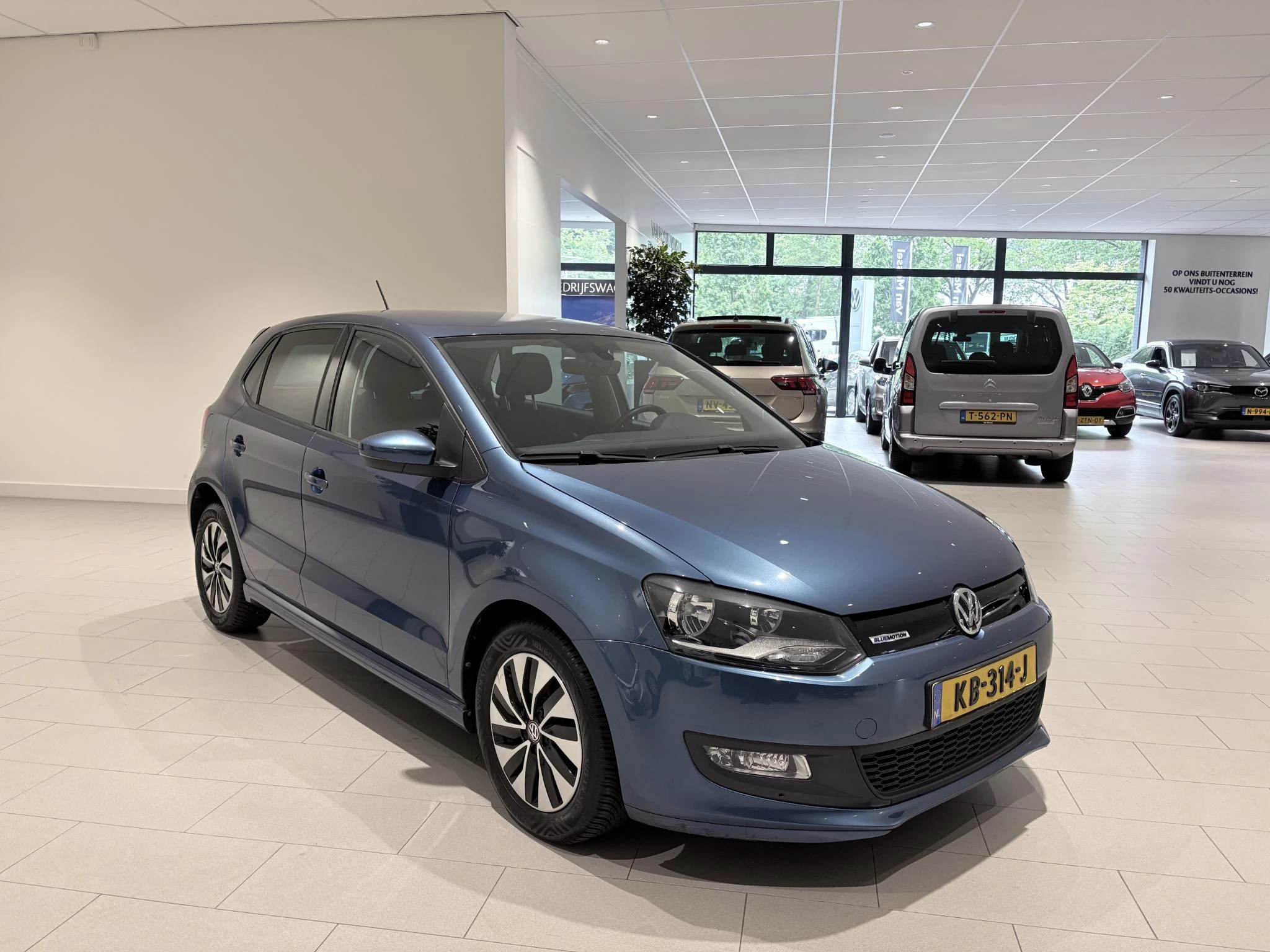 Volkswagen-Polo-image-5
