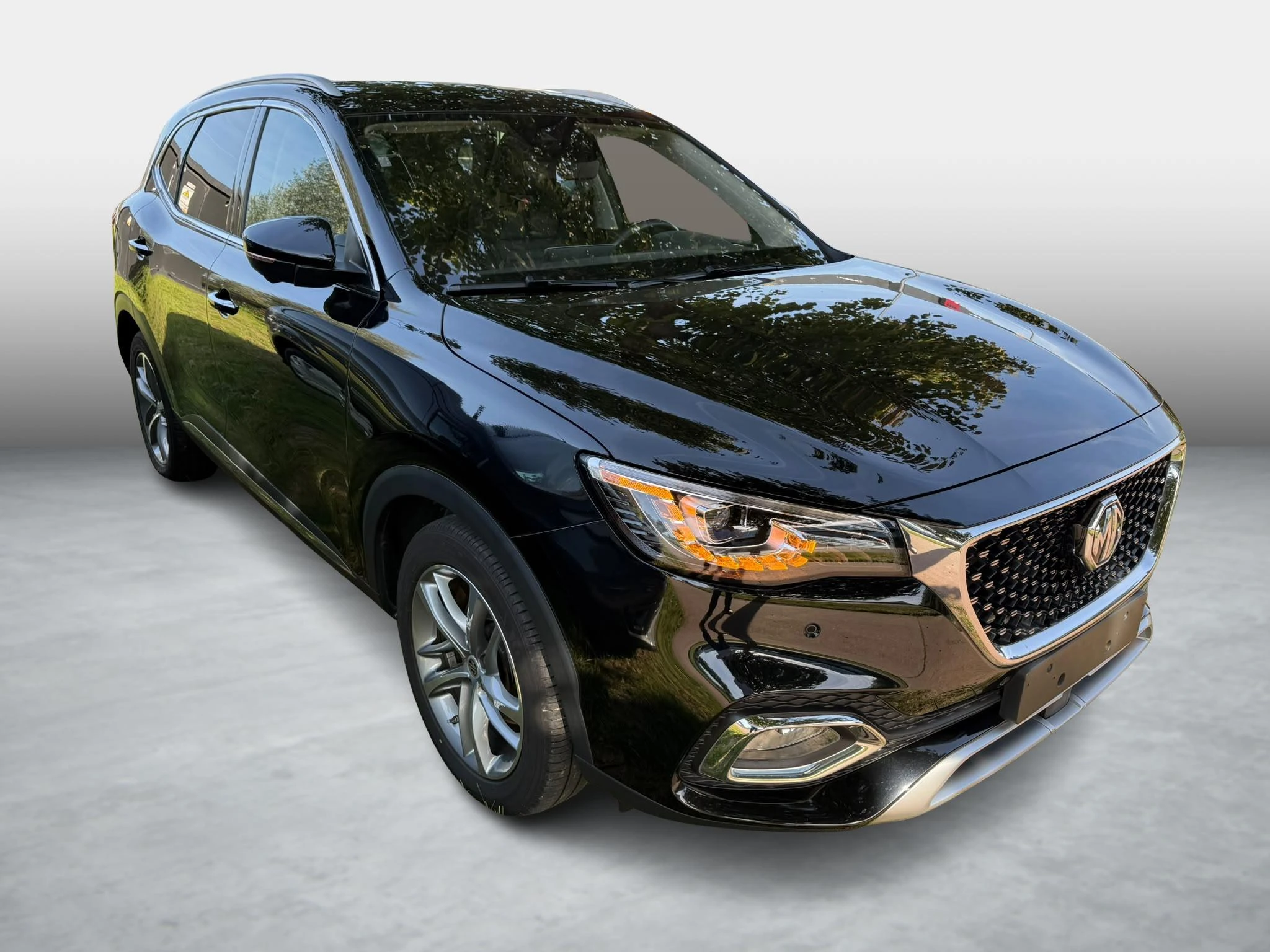 MG-EHS-image-2