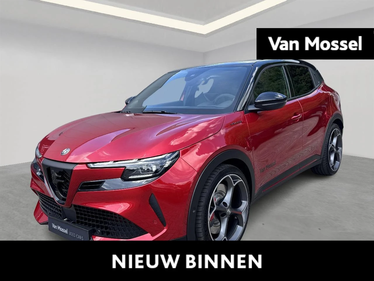 Alfa Romeo-Junior-image-0
