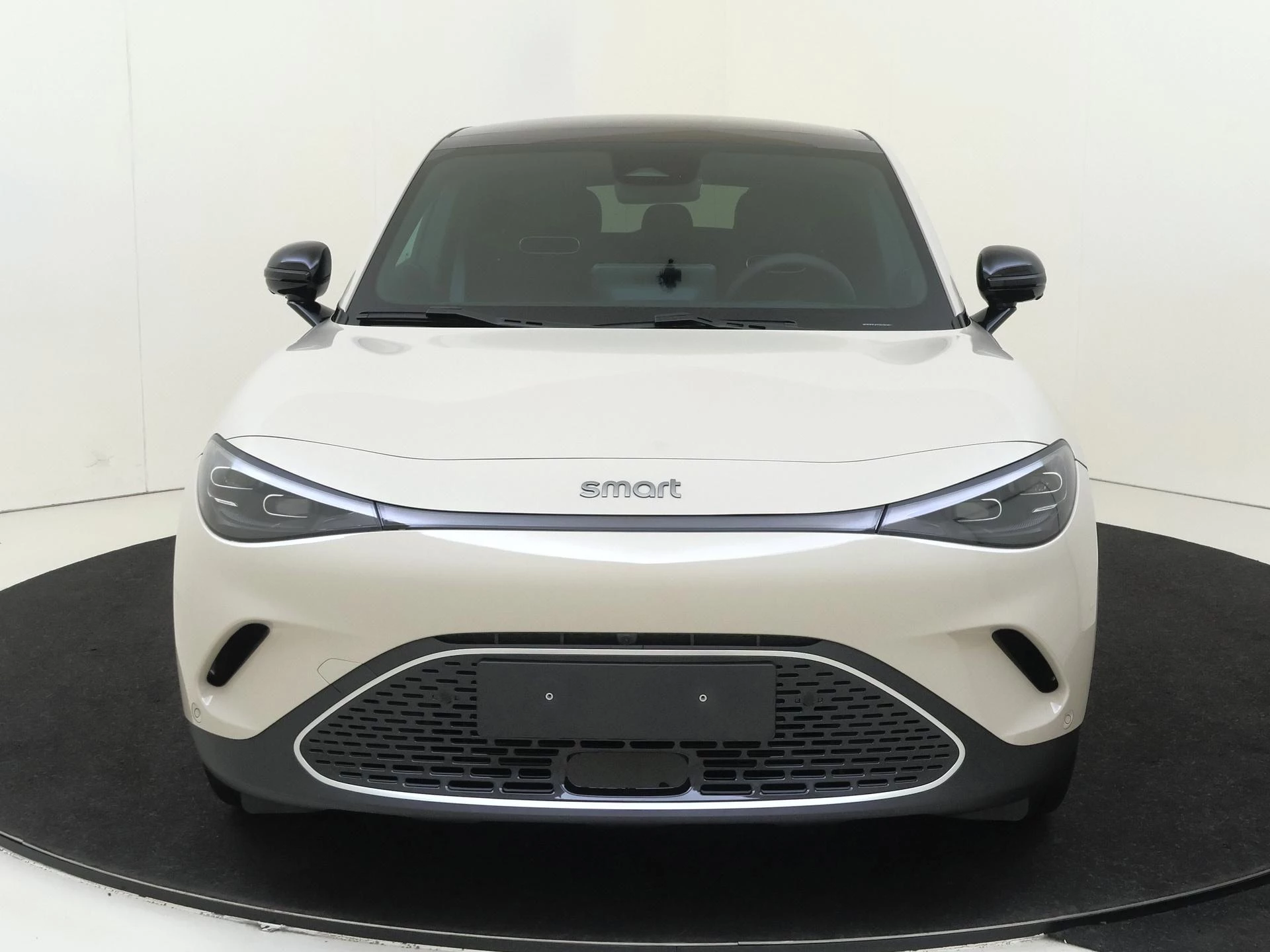 smart-#3-image-5