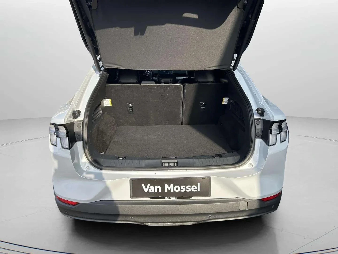 Ford-Mustang Mach-E-image-21