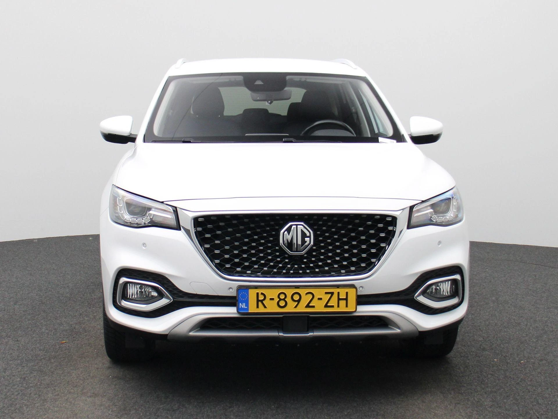 MG-EHS-image-2