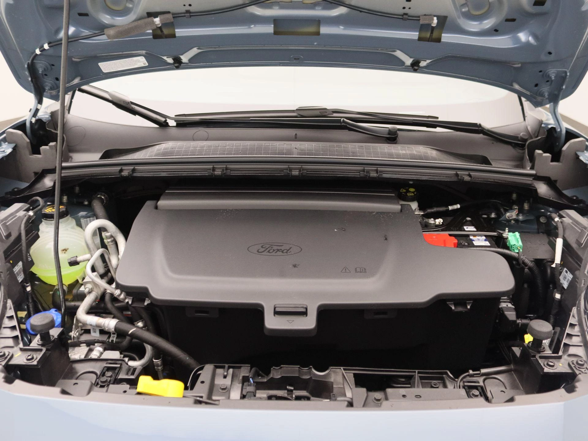 Ford-Puma Gen-E-image-0