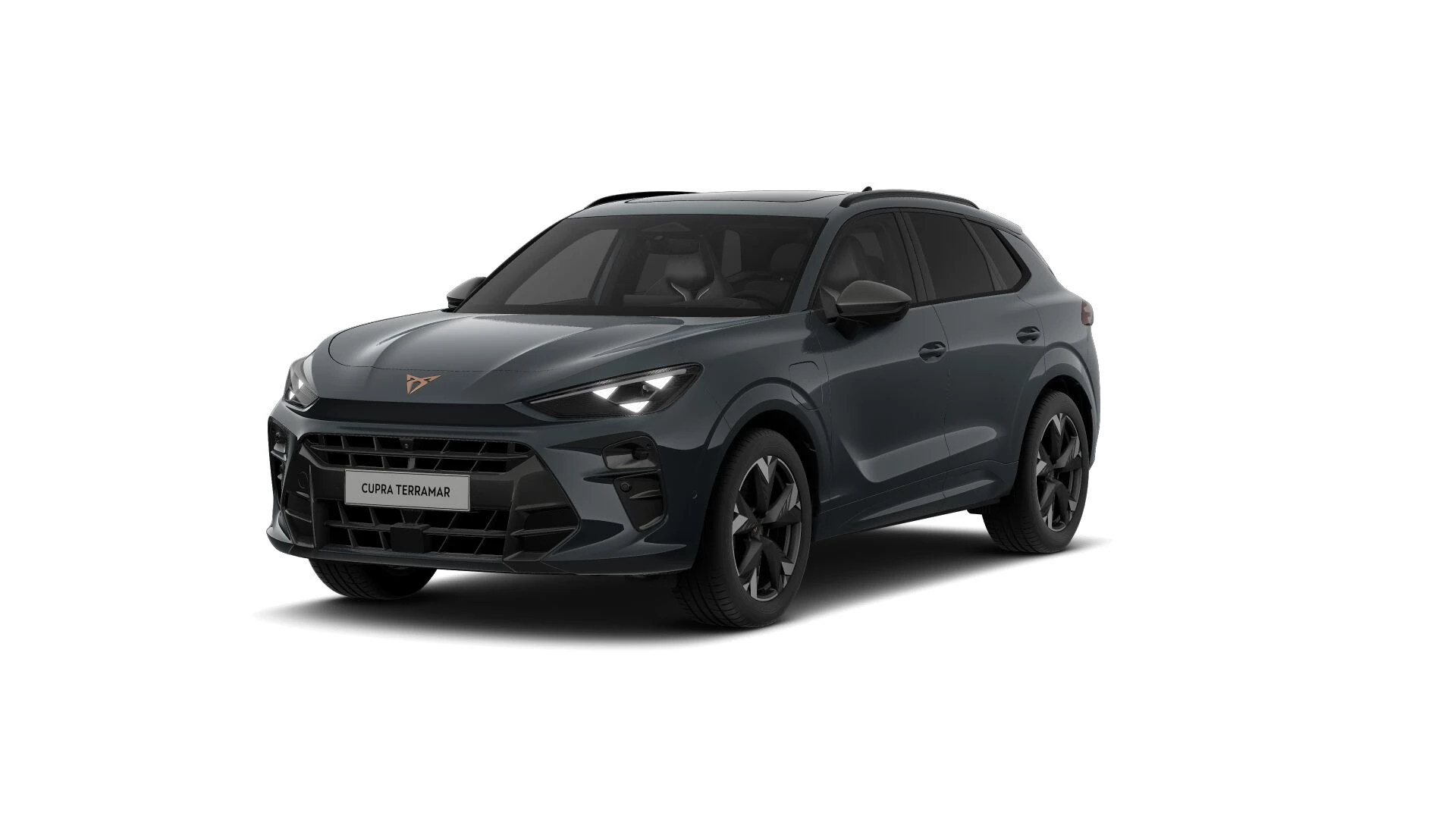 CUPRA Terramar Business