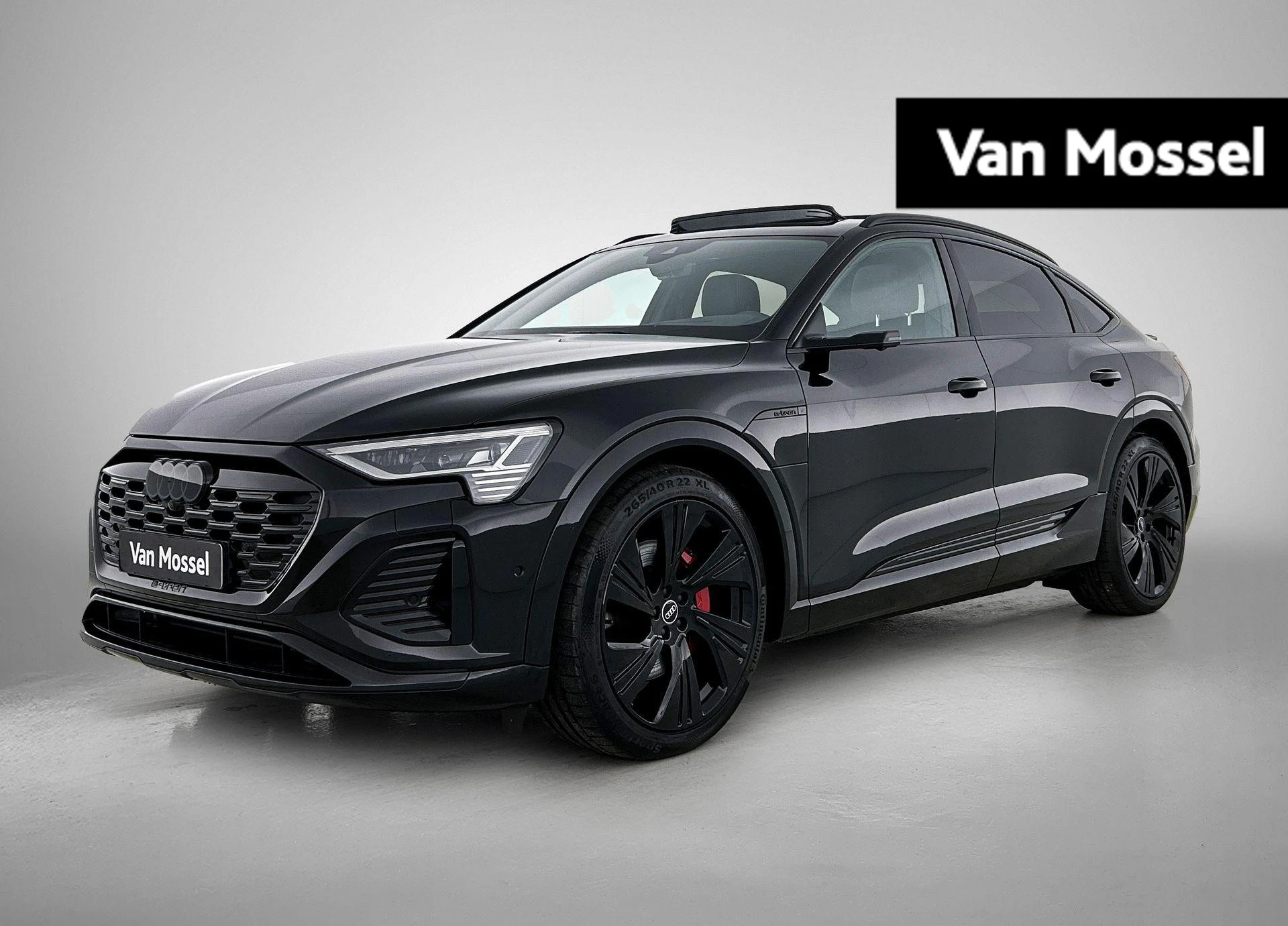Audi-Q8 Sportback e-tron-image-0