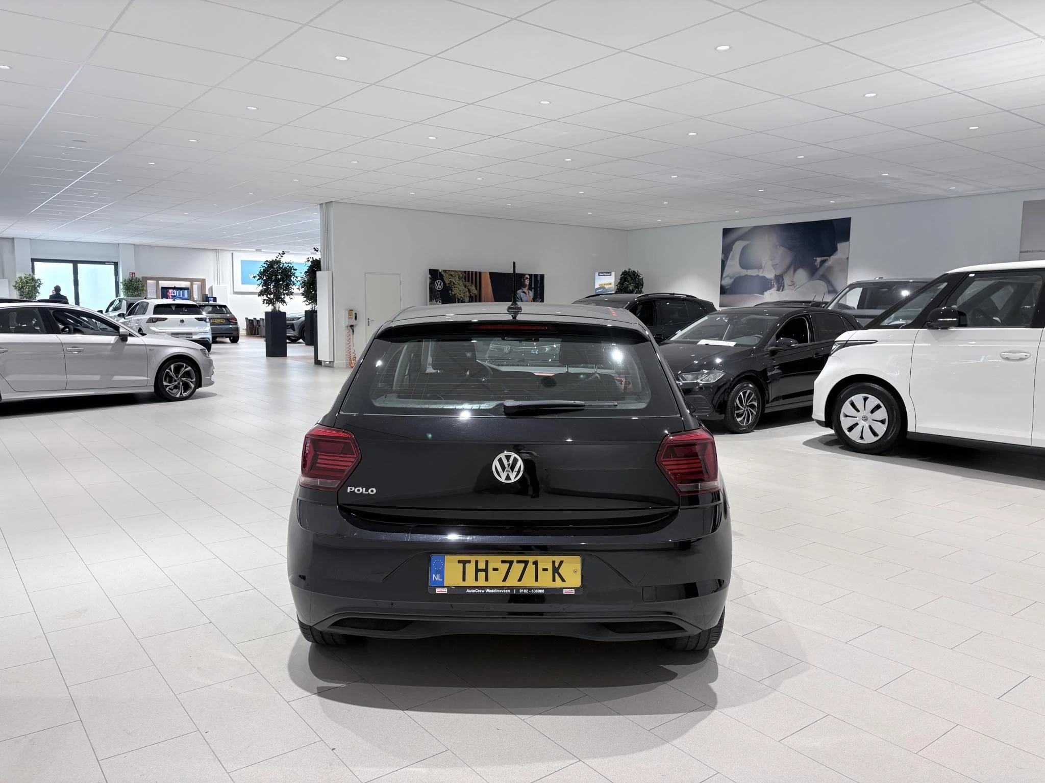 Volkswagen-Polo-image-4