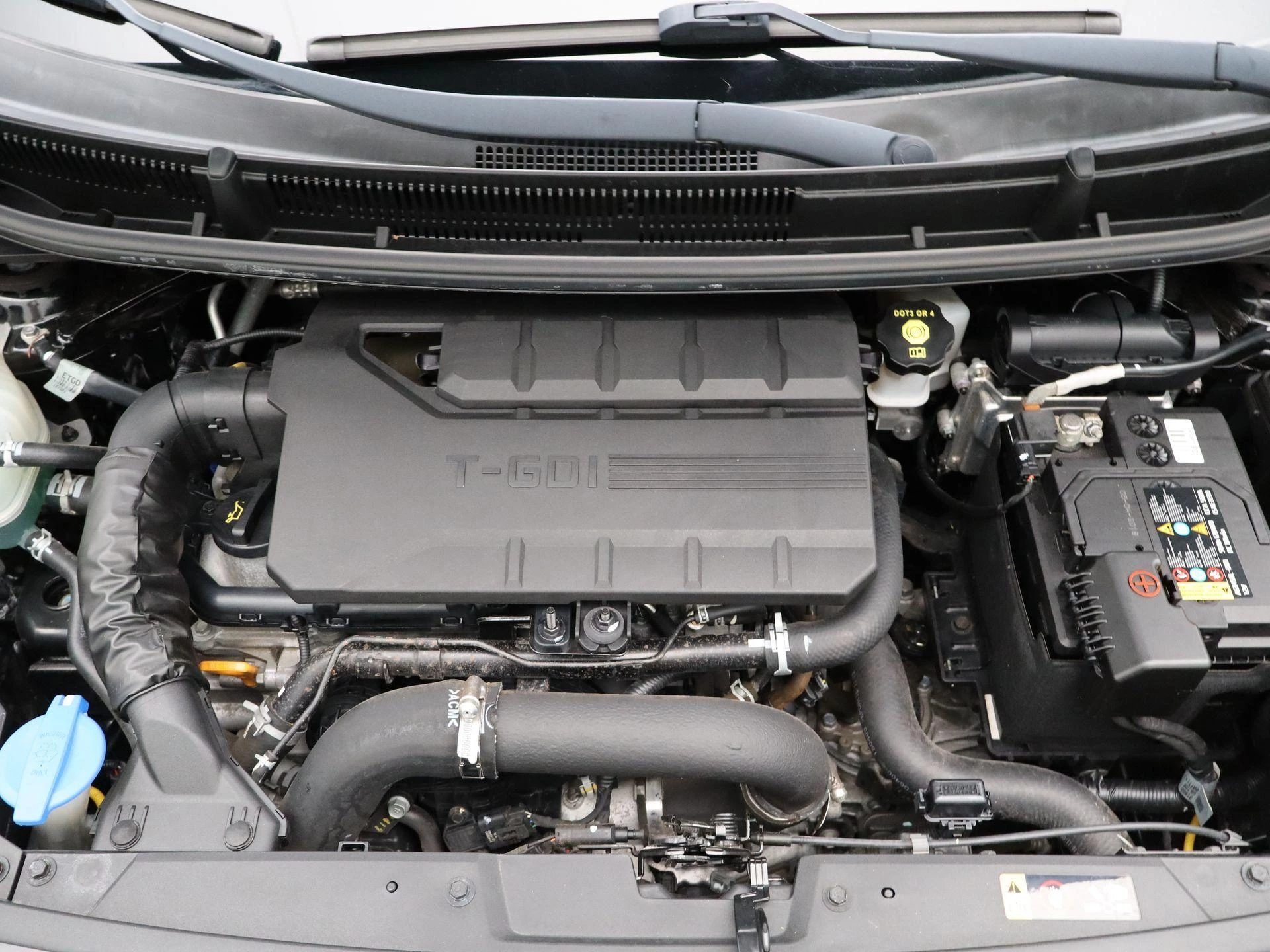 Kia-Picanto-image-34