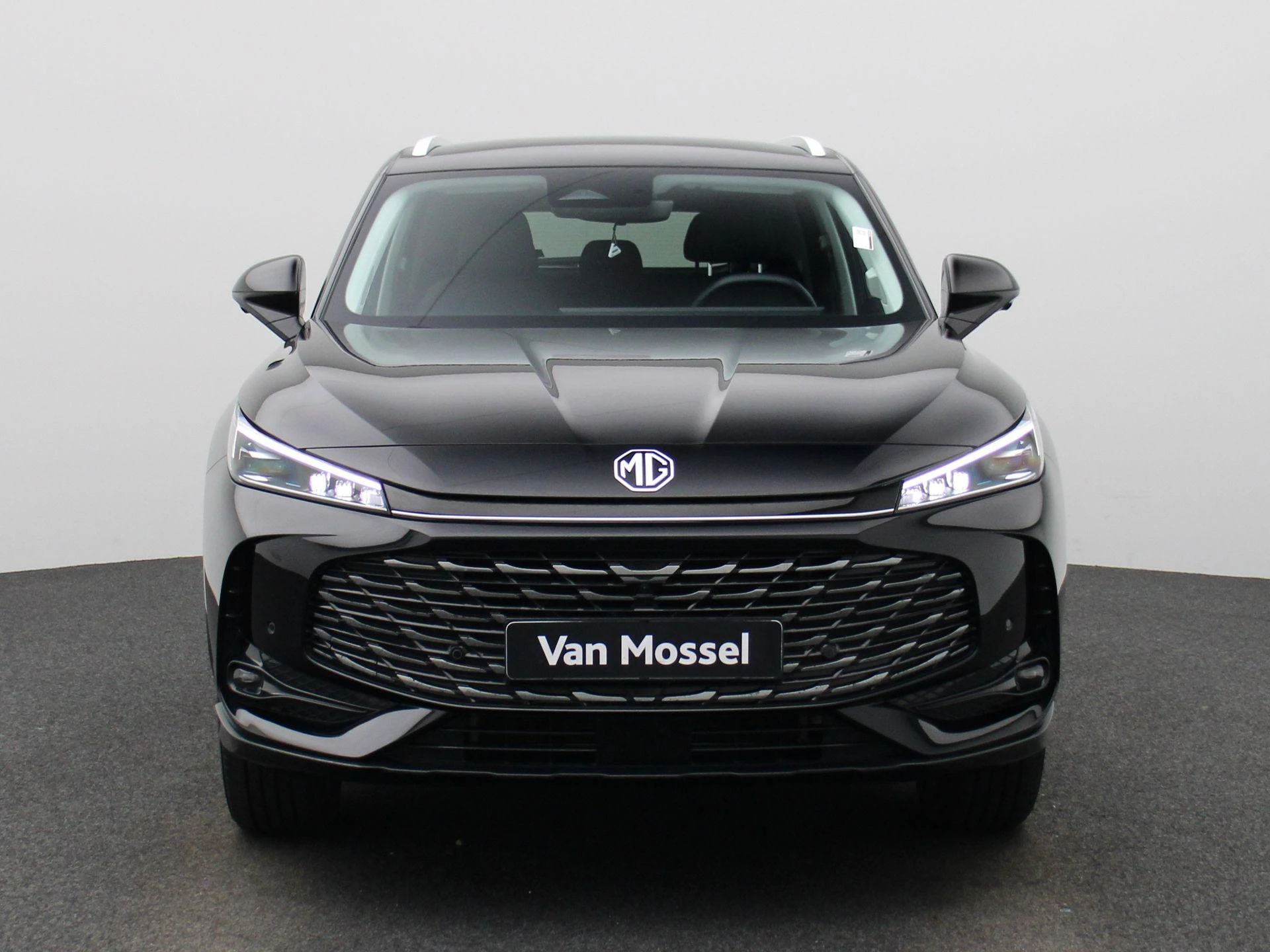 MG-HS-image-2