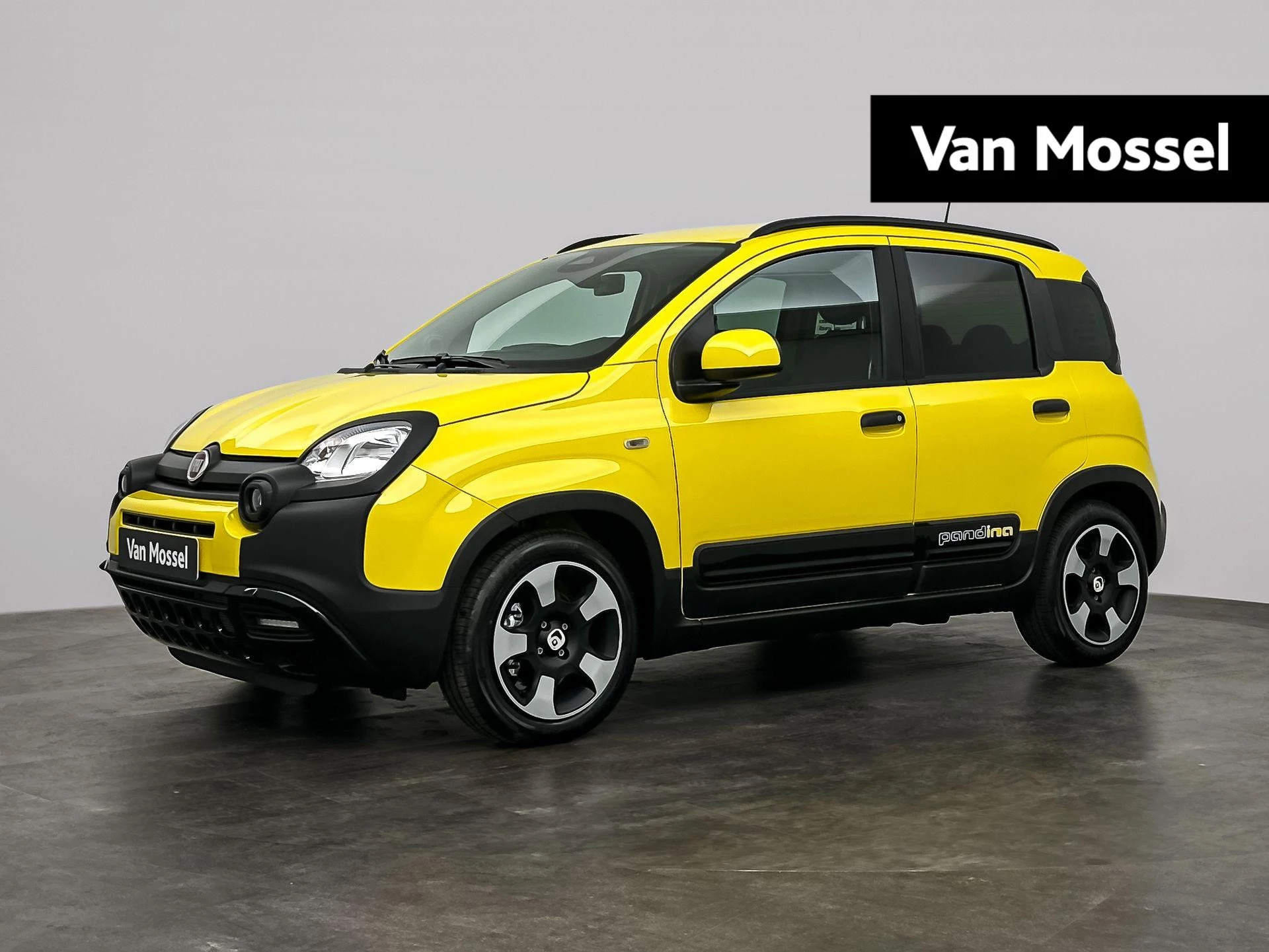 Fiat-Panda-image-0