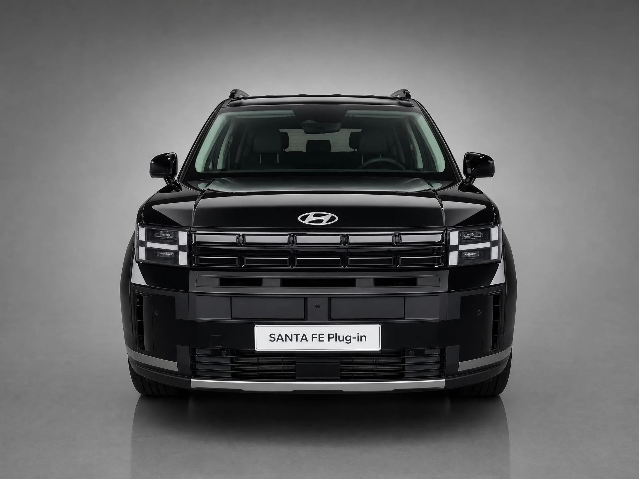 Hyundai-Santa Fe-image-2