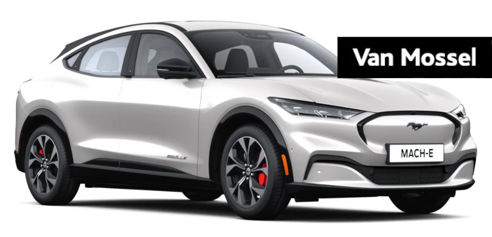 Ford-Mustang Mach-E-image-0