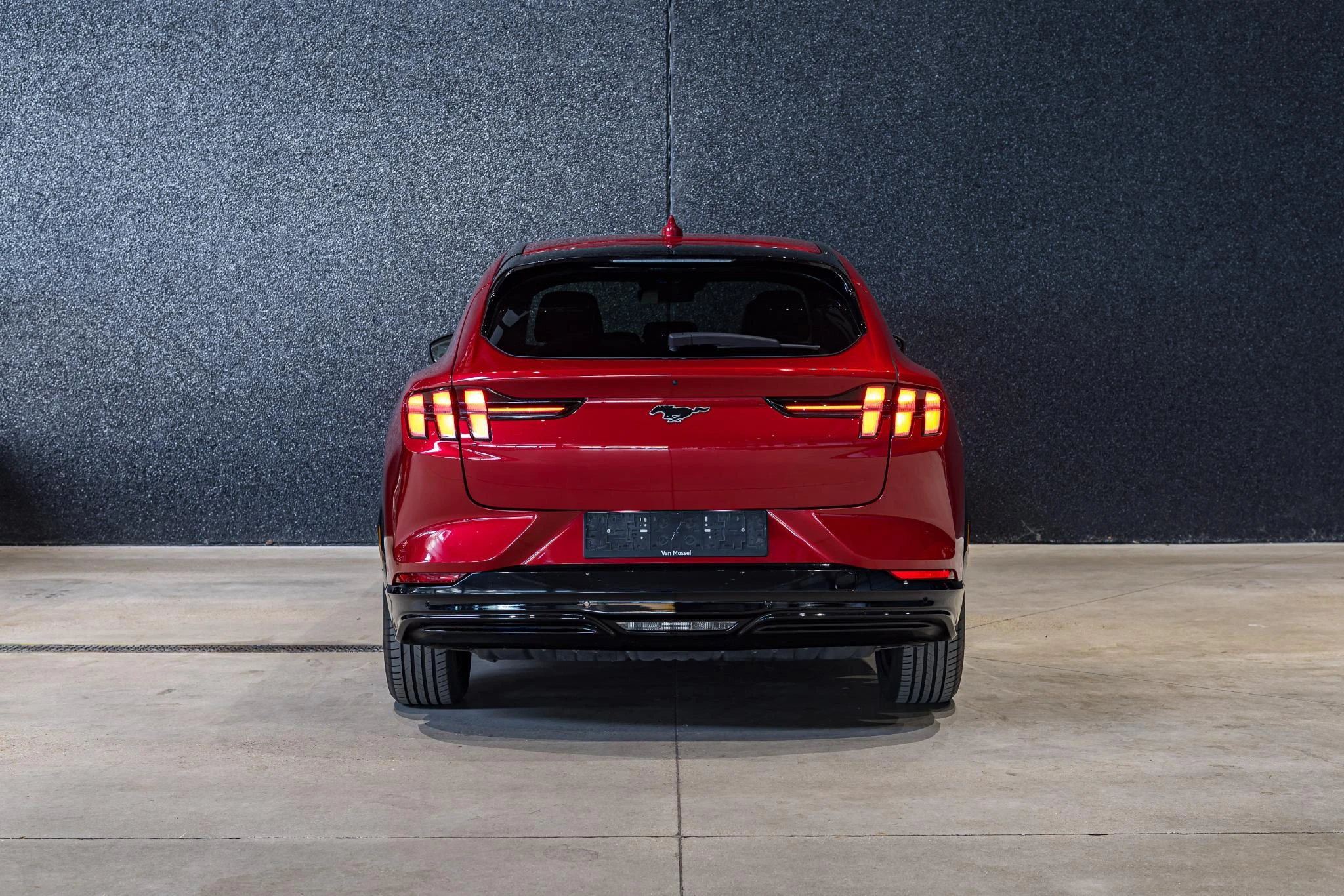 Ford-Mustang Mach-E-image-19