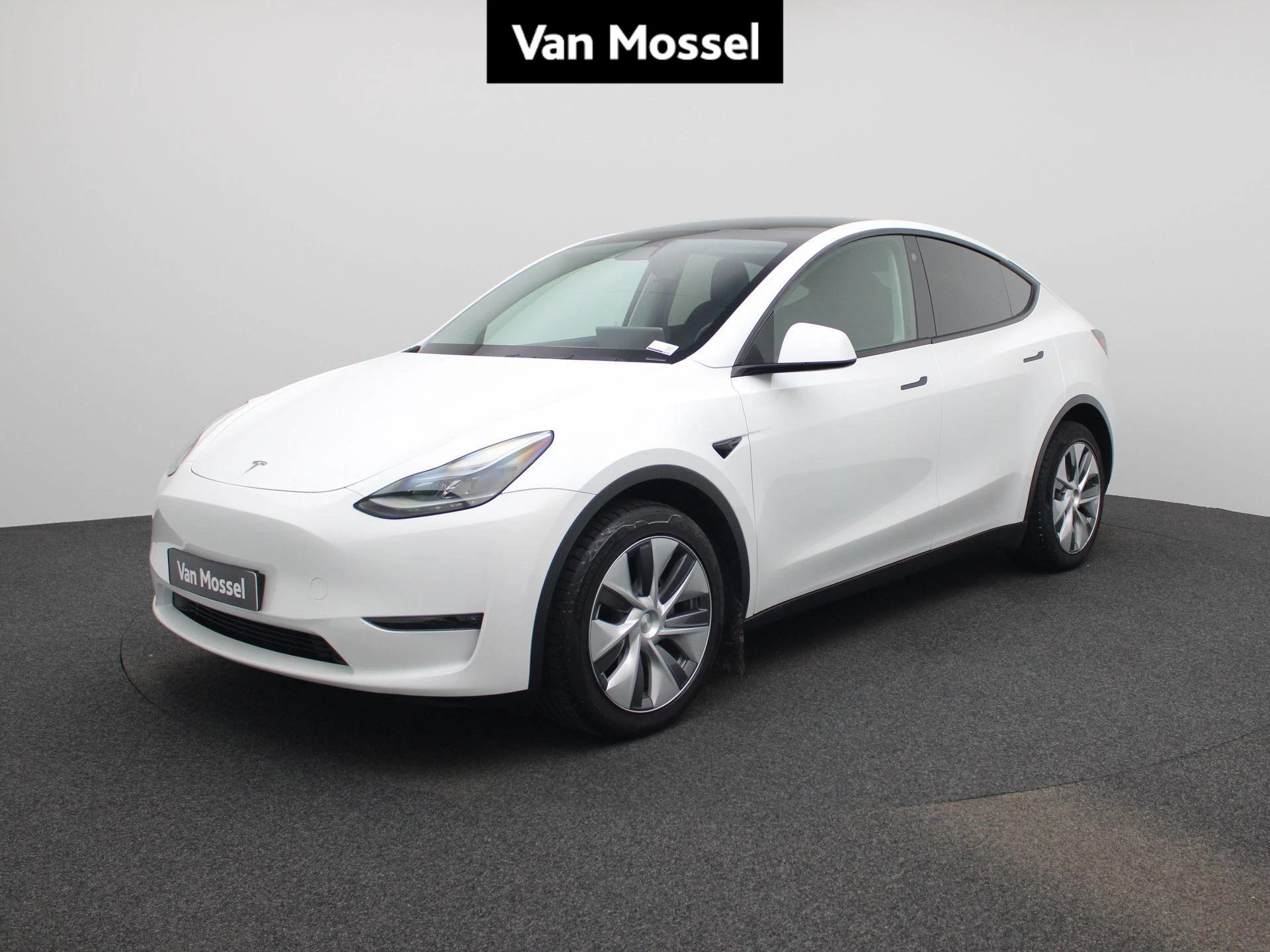 Tesla-Model Y-image-0