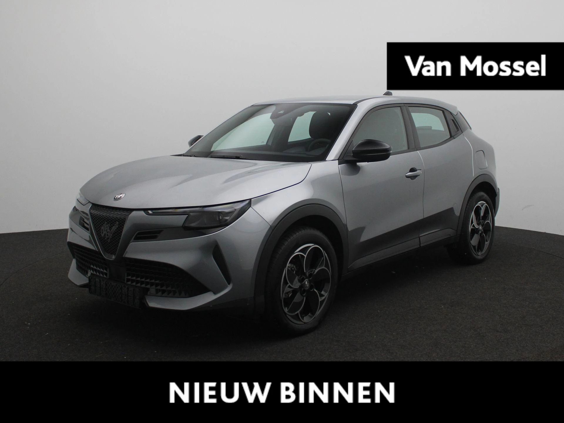 Alfa Romeo-Junior-image-0