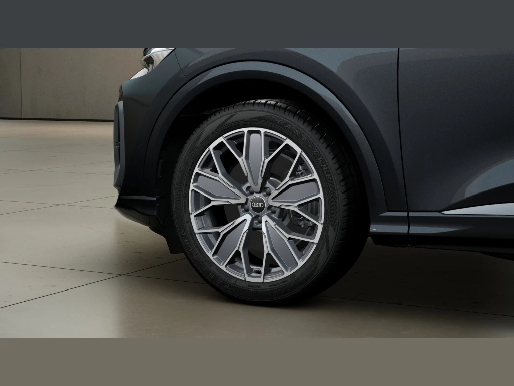 Audi Q5 TDI quattro S tronic S line Tech Pano AHK ALP