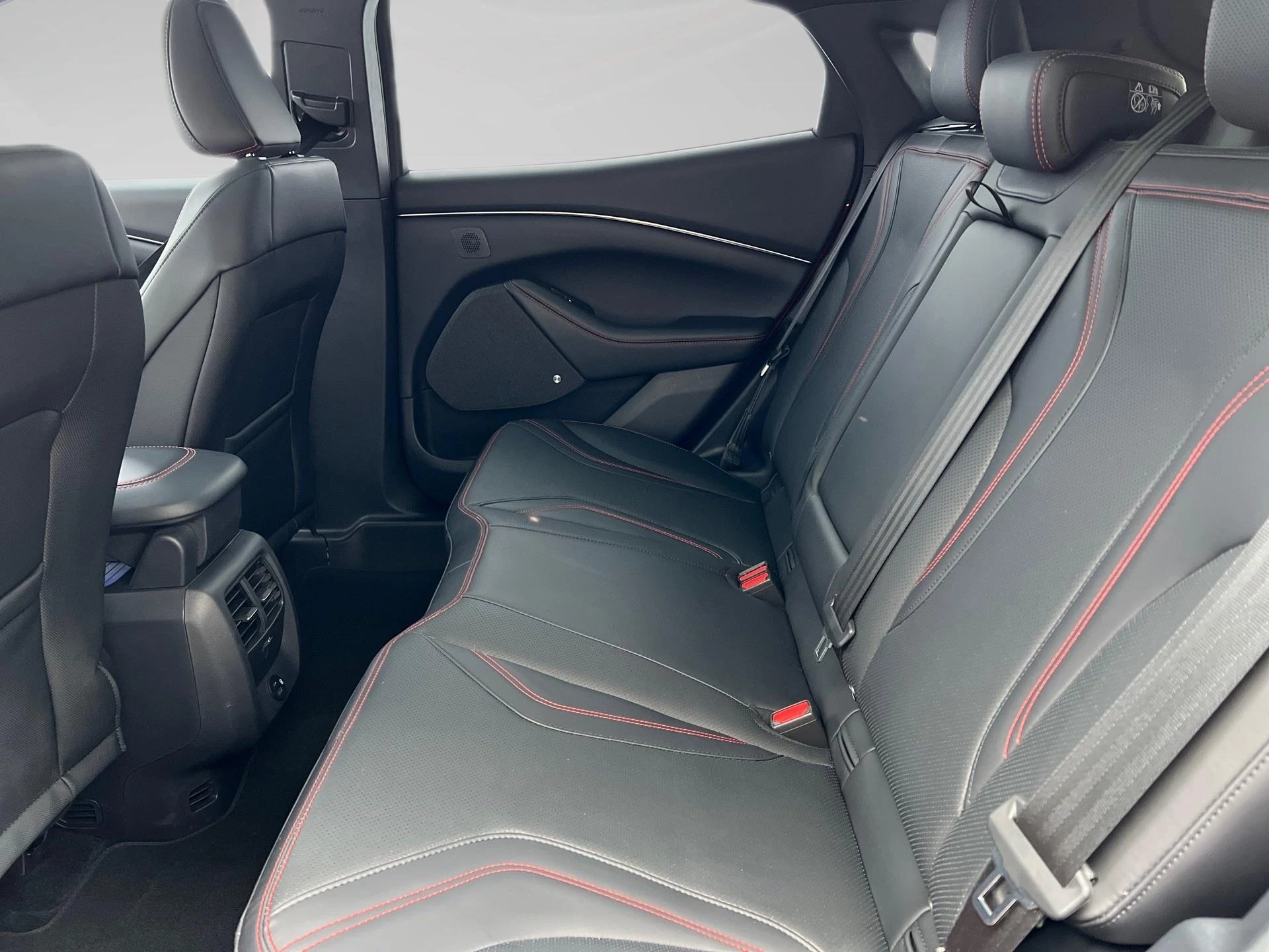 Ford-Mustang Mach-E-image-10